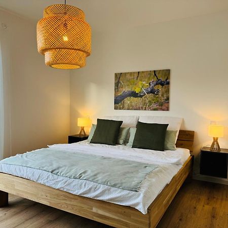 Moderne Ferienwohnung Mit Terrasse, Grill & Privatparkplatz Venningen Luaran gambar